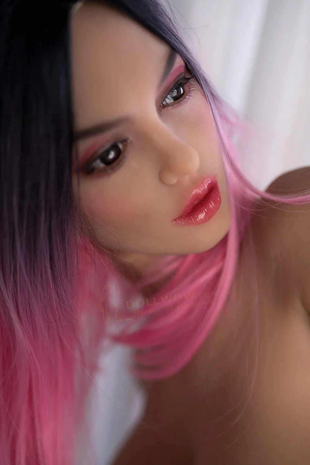 Quinn reference photo