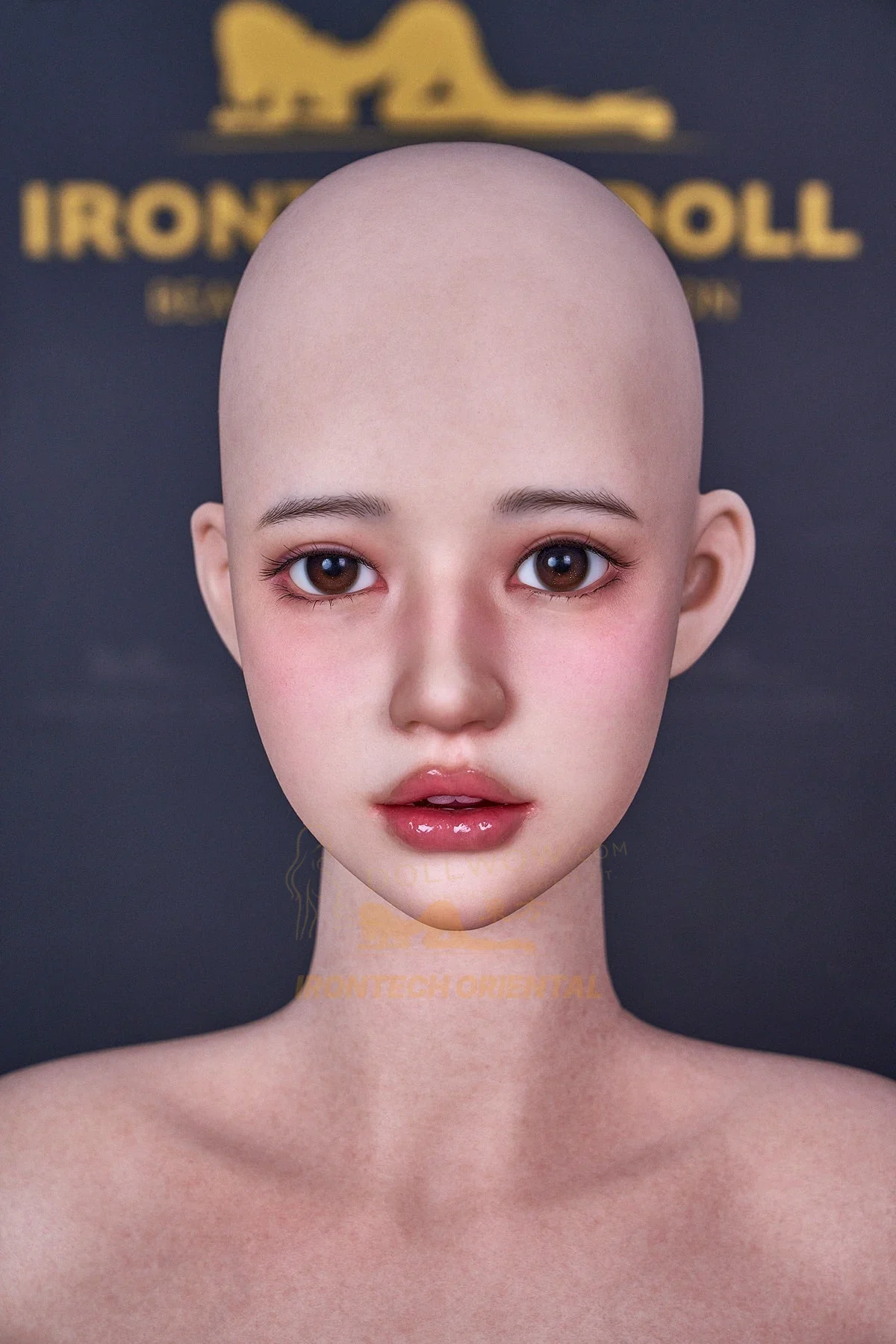 Irontech Eive 161cm F-Cup Silicone Head — image 29 of 32