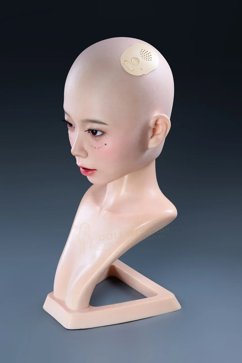 Irontech — image 2 of 8